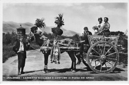 Delcampe - ITALIE SICILIA PALERMO #29182 CARRETTO SICILIANO COSTUME DI PIANA DEI GRECI CHARRETTE SICILIENNE COSTUMES TRADITIONNELS - Palermo