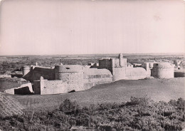 Delcampe - 66 SALSES LE CHATEAU LE CHATEAU DE SALSES - Salses