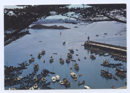 Delcampe - Erquy, La Jetée Et Le Port Vus De La Propriété Le Noirmont (lt12) - Erquy