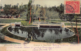 Delcampe - Ciudad De México - Estanque De Chapultepec - Ed. Latapi Y Bert - Mexiko