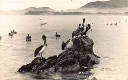 Delcampe - México - ACAPULCO - Playa De Hornos - FOTO POSTAL - Ed. Desconocido 317 - Mexiko