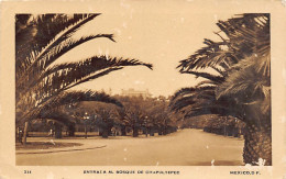 Delcampe - Ciudad De México - Entrada Al Bosque De Chapultepec - POSTAL FOTO - Ed. Desconocido 234 - Mexiko