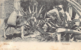 Delcampe - México - Tlachiquero - LA ESQUINA INFERIOR IZQUIERDA DE LA POSTAL TIENE UN PLIEGUE - Ed. Iturbide Curio Store 166 - Mexiko