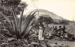 Delcampe - México - SAN JUAN TEOTIHUACAN - Piramide Del Sol - POSTAL FOTO - Ed. Yañez 616 - Mexiko