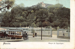 Delcampe - Ciudad De México - Bosque De Chapultepec - Tranvía 14 - Ed. Latapi Y Bert 6360 - Mexiko