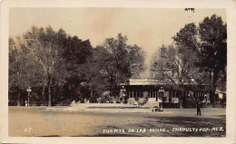 Delcampe - Ciudad De México - CHAPULTEPEC - Fuente De Las Ranas - POSTAL FOTO - Ed. Desconocido 57 - Mexiko