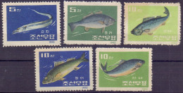Delcampe - DPRK - FISHES - **MNH - 1962 - Fische