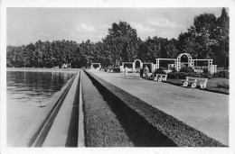 Delcampe - Lot272 Siofok Rosarium Hungary Real Photo - Ungarn