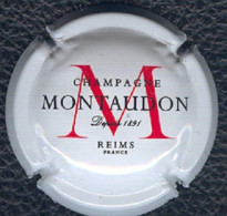 Delcampe - N°40 CAPSULE DE CHAMPAGNE MAUTAUDON - Mumm GH