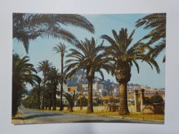 Delcampe - HYERES LES PALMIERS  L'Avenue Alexis Godillot - Hyeres