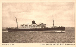 Delcampe - STEAMER - "Caledonia" - Anchor Line  (2 Scans) - Dampfer