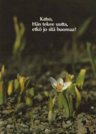 Delcampe - FLOWERS Vintage Postcard CPSM #PAR468 - Blumen