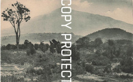 Delcampe - Der Meruberg Bei Aruscha - Tanzania - Tanzanie