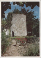 Delcampe - 17. Gf. LES PORTES-EN-RE. Le Vieux Moulin. 673 - Ile De Ré