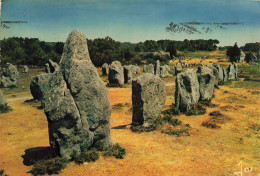 Delcampe - 56 CARNAC ALIGNEMENT DU MENEC - Carnac