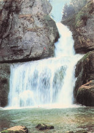Delcampe - 39 CHAMPAGNOLE LA CASCADE DE LA BILLAUDE - Champagnole