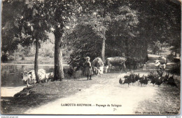 Delcampe - 41 LAMOTTE BEUVRON - Un Paysage De Sologne - Lamotte Beuvron