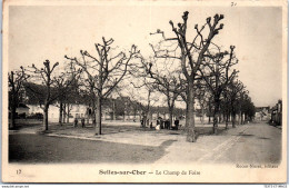 Delcampe - 41 SELLES SUR CHER --le Champ De Foire - - Selles Sur Cher