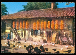 Delcampe - Basse Cour Dans Une Ferme Bressane Du Coté De Thoissey édition Combier Carte Rare - Seyssel