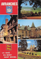 Delcampe - 50-AVRANCHES-LA BAIE DU MONT SAINT MICHEL-N°7075-C/0037 - Avranches