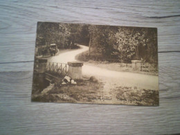 Delcampe - VIRELLES: Chemin De La Lorge - Chimay