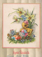 Delcampe - EASTER EGG Vintage Postcard CPSM #PBO211 - Ostern