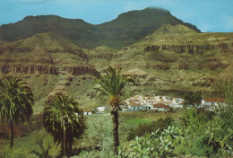 Delcampe - España Fataga Gran Canaria Paisaje Rural Montañoso Con Palmeras Y #PAC203 - Gran Canaria