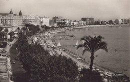 Delcampe - France Cannes La Croisette Grands Hôtels Plage Real Photo Unposted #SCD191 - Cannes