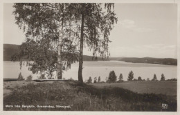 Delcampe - Sweden Gunnarskog Bergsjön Lake Landscape With Birch Trees Unposted #SBT102 - Schweden