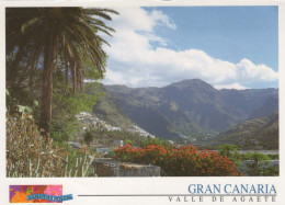 Delcampe - España Agaete Gran Canaria Valle De Paisaje Montañoso Con Palmeras Y #PAC197 - Gran Canaria