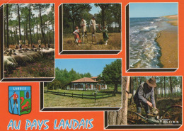 Delcampe - France Dax Scènes Typiques Échassiers Gemmage Bergerie #SAR966 - Dax