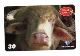 Delcampe - Vache Cow  Animal Télécarte Brésil Phonecard  (ST 101) - Vaches