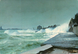 Delcampe - CPM - S - MANCHE - SAINT VAAST LA HOUGUE - TEMPETE - Saint Vaast La Hougue