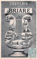 Delcampe - 45* BRIARE Â«Â souvenirÂ Â»  Multi Vues     RL59,0596 - Briare