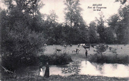 Delcampe - 45* BRIARE  Parc De Vaugereau â€“ Le Gue     RL59,0562 - Briare