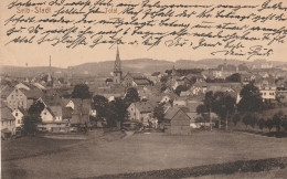 Delcampe - 8672 SELB, Gesamtansicht 1920 - Selb