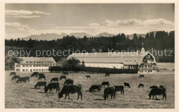Delcampe - Kempten Allgaeu Gut Ochsenhof - Kempten