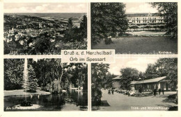 Delcampe - Orb Bad Schwanenteich Trink Wandelhalle Kurhaus Panorama - Bad Orb