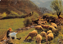 Delcampe - Les Belles Couleurs De Nos Provinces BERGERE AVEC SON TROUPEAU ET SA PETITE BIQUETTE 18(scan Recto-verso) MA321 - Kunsthandwerk