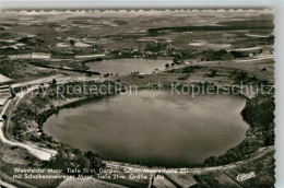 Delcampe - Daun Eifel Weinfelder Maar - Daun