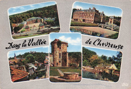 Delcampe - 78 CHEVREUSE CHATEAU DE LA MADELEINE - Chevreuse
