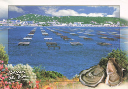 Delcampe - 34 SETE BASSIN DE THAU - Sete (Cette)