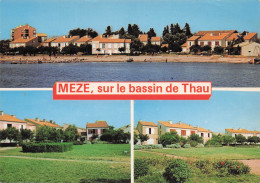 Delcampe - 34 MEZE BASSIN DE THAU - Mèze