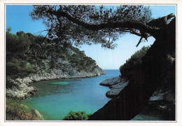 Delcampe - 13-CASSIS-CALANQUE DE PORT PIN-N°7091-B/0043 - Cassis
