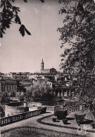 Delcampe - 81-ALBI-EGLISE DE LA MADELEINE VUE DES JARDINS DE L ARCHEVECH-N°7091-D/0359 - Albi