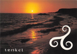 Delcampe - A IDENTIFIER-N°7095-B/0059 - Zu Identifizieren