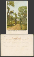 Delcampe - India 1903 Old Colour Postcard Forest Triumphal Arch, Lord Curzon Tour Treehouse - Indien