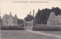 Delcampe - CPA 41 Salbris, Château De La Ferté Imbault (pk117080) - Salbris