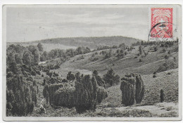 Delcampe - Litauen: Ansichtskarte Heide - Idylle, 1927 Rokiskis Nach Fürth - Lituanie