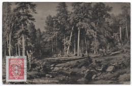 Delcampe - Litauen: Ansichtskarte Wald, Russland?, 1927 Rokiskis - Lituanie